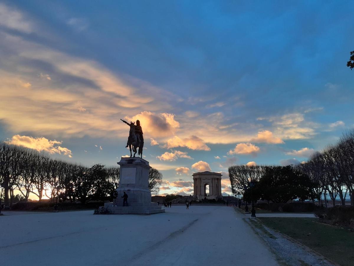 Un Oasis Au Coeur De La Vieille Ville, Classe 4 Etoiles Montpellier Esterno foto