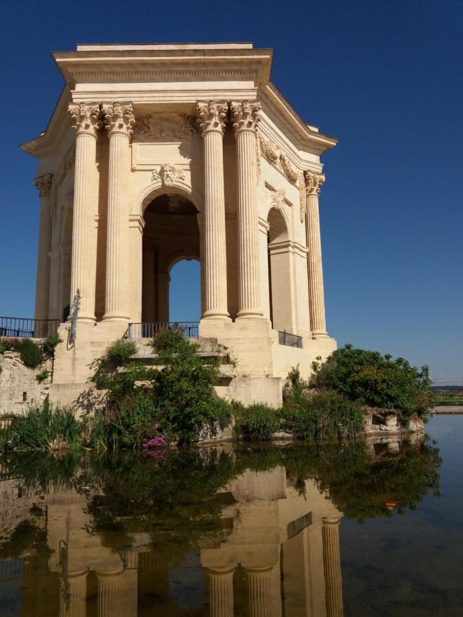 Un Oasis Au Coeur De La Vieille Ville, Classe 4 Etoiles Montpellier Esterno foto